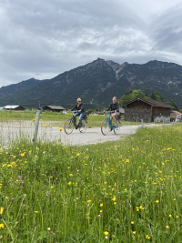 Sommer in der Heimat